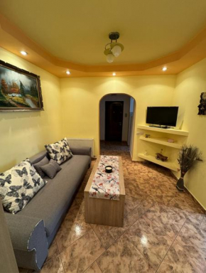 Muntean Residence